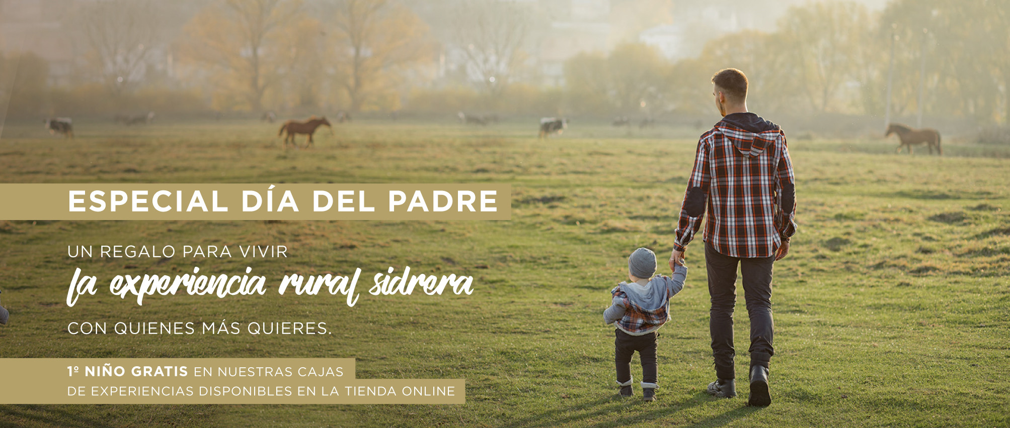 DIA DEL PADRE